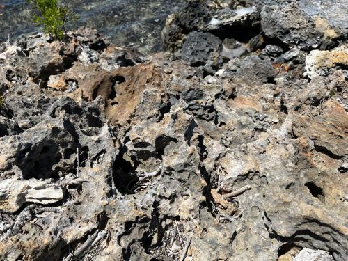 Foot-destroying rocks in Turks and Caicos Islands