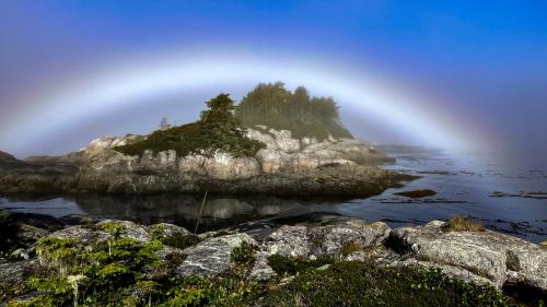 Broughton Archipelago BC, Whitecliff Isl. at sunrise