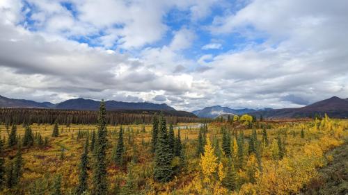 A photo from my trip in Denali, AK