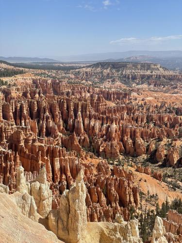 Taken today - Bryce National Park