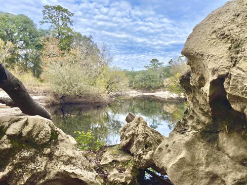 Limestone banks of the Suwannee River - Live Oak, FL