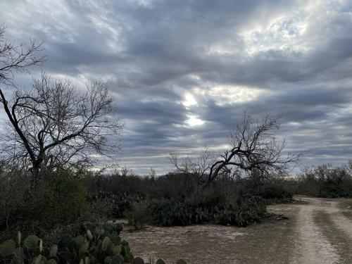 Spooky South Texas Sunrise.