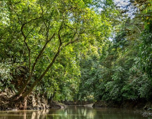 Soberanía National Park