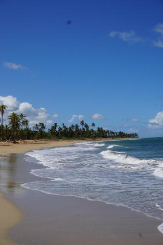 LavaCama Beach, Dominican Republic  by Rodrick Rainey