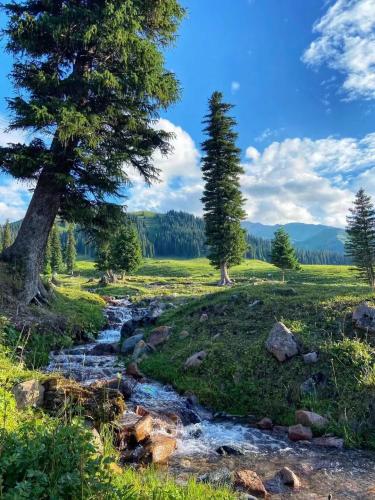 Nalati Grassland, Xinjiang, China