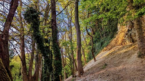 Humber County Park