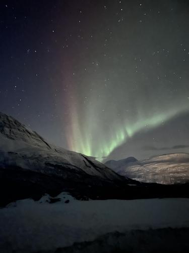 First time seeing the northern lights. Tromsø, Norway.
