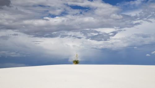 White Sands NP