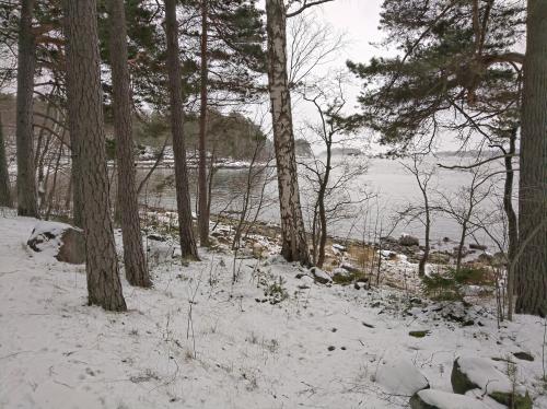 Winter day by the sea in Espoo, Finland