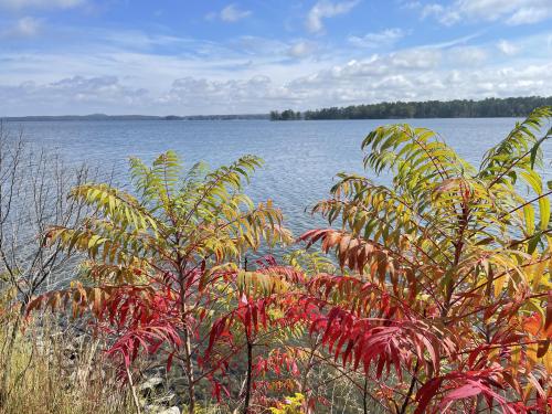 Fall Colors in Alabama over the lake.