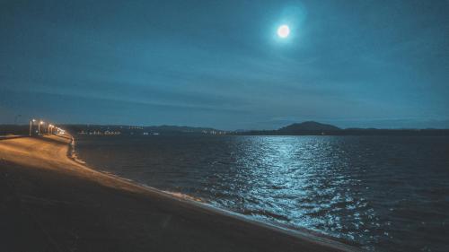 Moon night