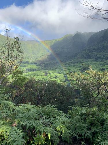 Another shot of Pu’u Pia Trail today, Honolulu, Hawaii  [2436 x 1125]