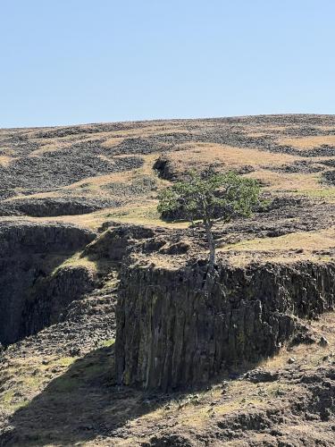 Oroville CA, Table mountain 🔥