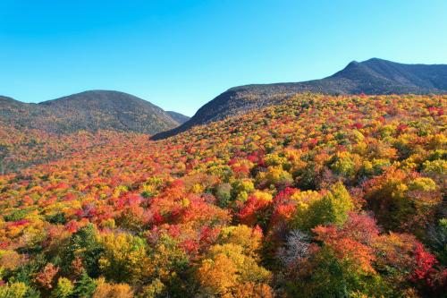 Peak Foliage in the White Mountains