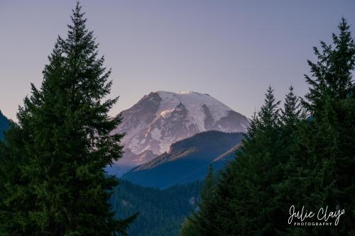 Mount Rainier National Park, Washington.