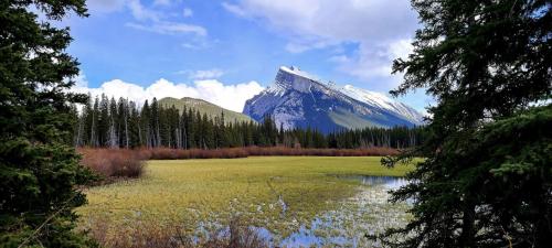 Vermillion Lakes, Banff Alberta , OC