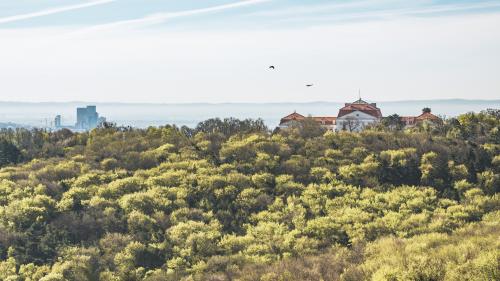 Schloss Wilhelminenberg