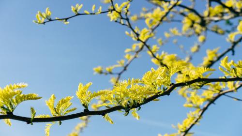 Watch me bloom like spring after a long winter!