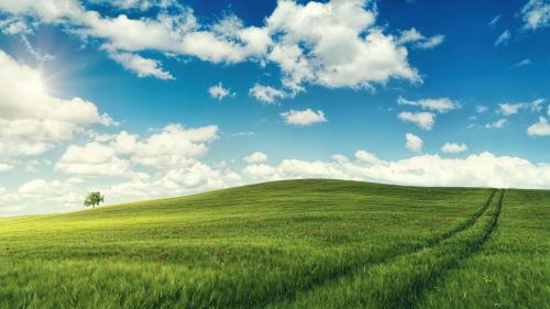 Blue sky above and green field below