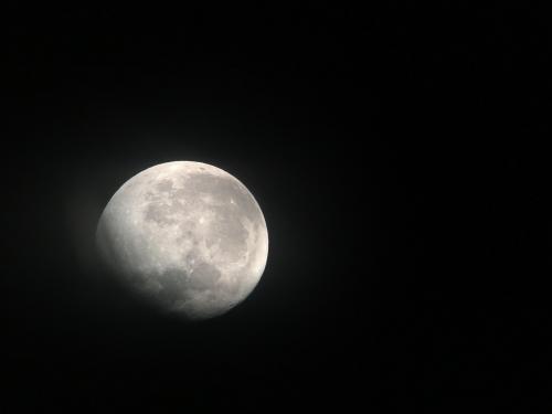 My first picture through a telescope! The moon, taken from upstate NY