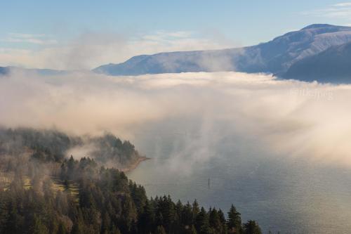 A foggy morning in the Columbia River Gorge, Washington  @itk.jpeg