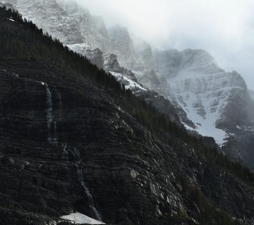 The Things You See Along the Trail in Glacier National Park...  @seanaimages