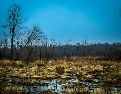 Indiana dunes