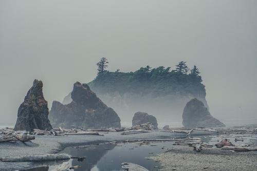 Foggy day at Ruby Beach, WA