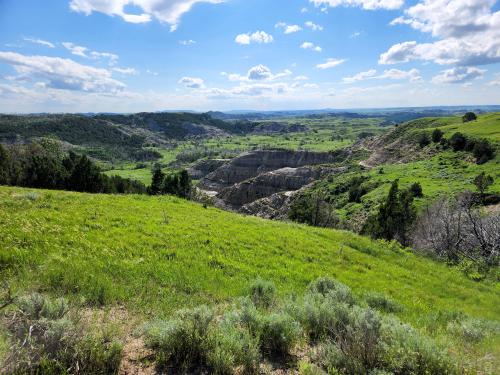 Theodore Roosevelt National Park, ND, USA