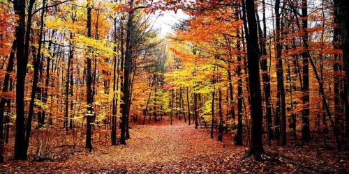 Autumn colors – Southern Quebec