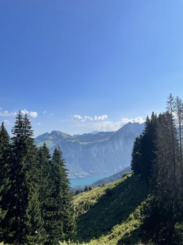 Near Talalpsee, Switzerland