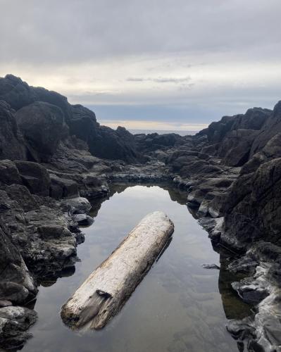 Oregon coast approaching dusk