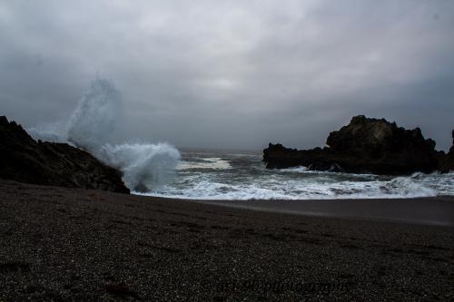 Bodega bay CA