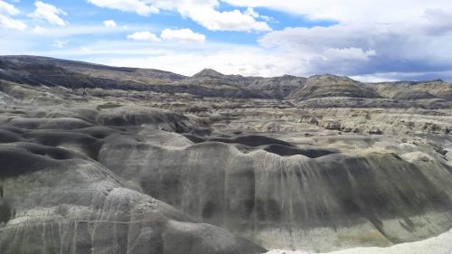 It is amazing this is next to a river. Petrified Forest La leona, Calafate, Argentina