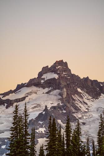 Alpine Glow. Mount Rainier National Park.