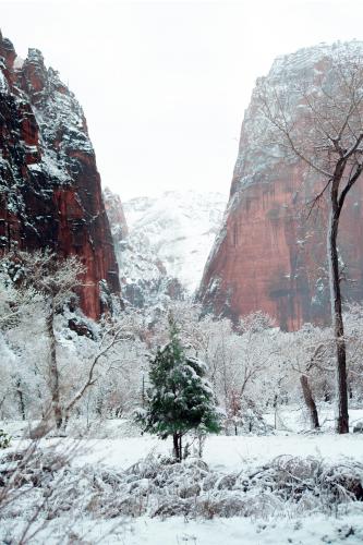 Zion national park  OC