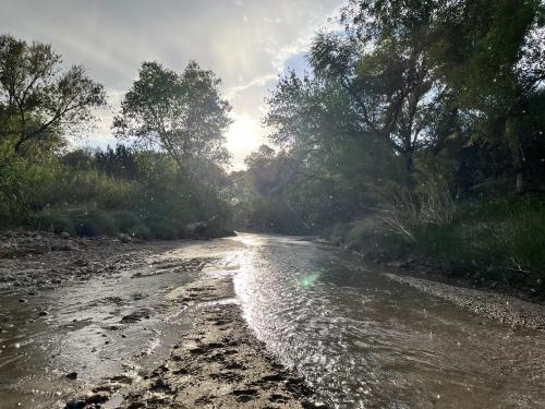 Sun shining through the rain, Cienega Creek in Tucson Arizona