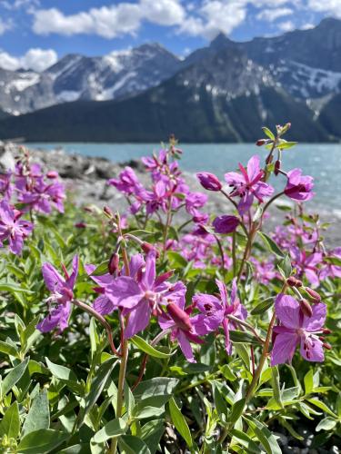 Upper Kananaskis Lake, Alberta Canada