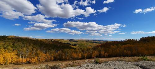 Autumn colors near Utah's Monte Cristo Peak