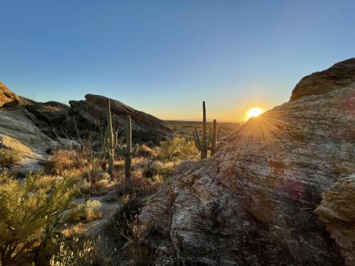 Sunset in Saguaro National Park, Tucson, AZ