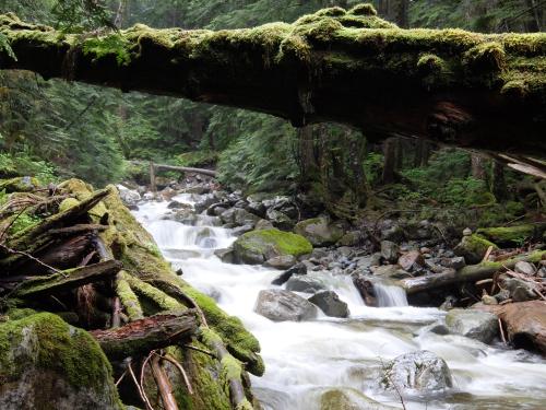 Lynn Headwaters Regional Park, BC