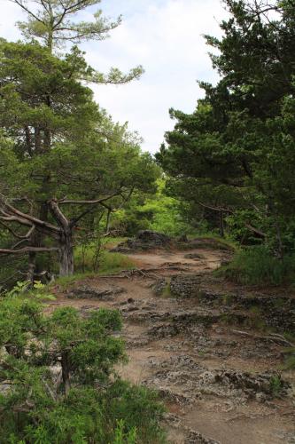 Backbone State Park, Dundee, IA, USA