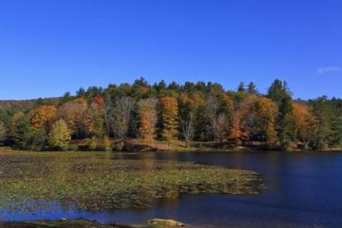 Bass lake in north Carolina