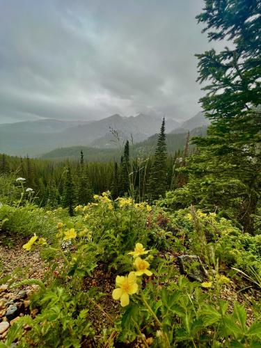 Rocky Mountain National Park, Colorado.