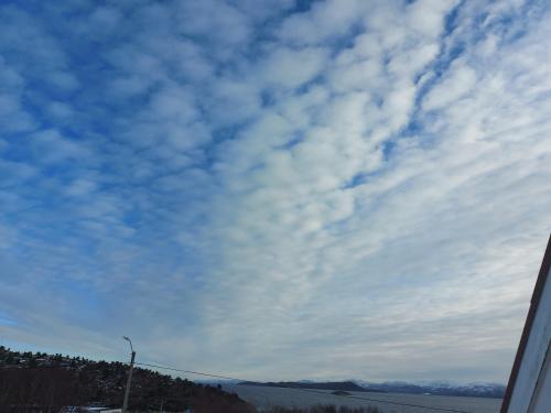 Calm &amp; nice Valentine's morning