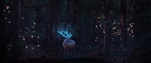 Young Reindeer in the Magic Forest
