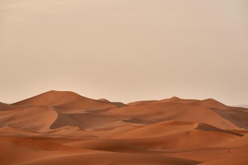 after a sand storm