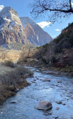 January in Zion National Park, Utah