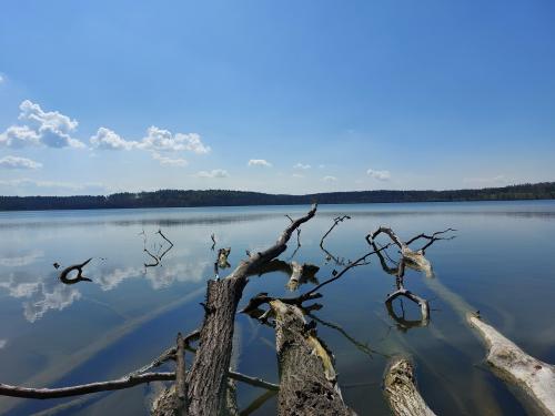 Łąkorek, Poland  4624×3468