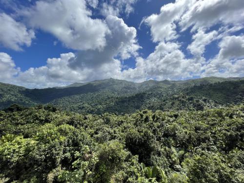 El Yunque National Forest, Puerto Rico